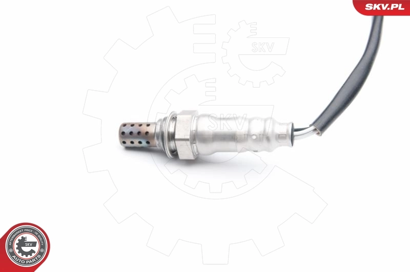 Oxygen Sensor